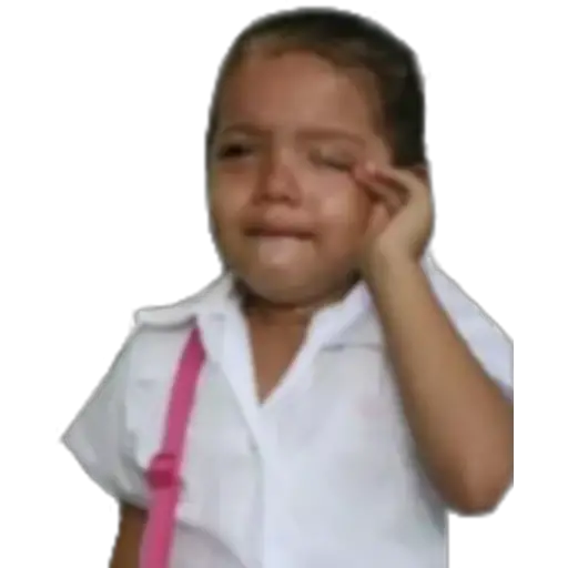 贴纸
