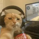 Stika