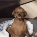 贴纸