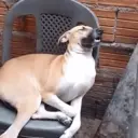 贴纸