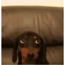 贴纸