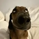 贴纸