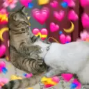ஸ்டிக்கர்