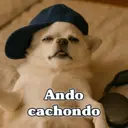 ملصق