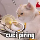 Çıkartma