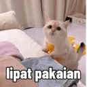 Çıkartma