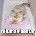 Çıkartma