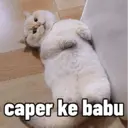Çıkartma