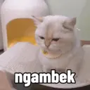 Çıkartma