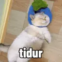 Çıkartma