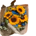 Adhesiu