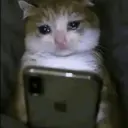 اسٹیکر
