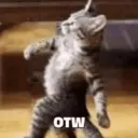 Pelekat