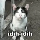 Límmiði