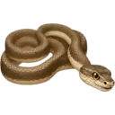 מדבקה