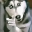 Stika