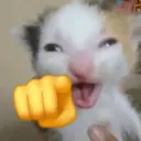 Nhãn dán