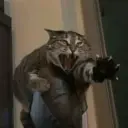 Nhãn dán