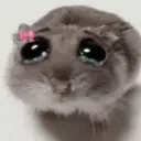 ملصق