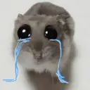 ملصق