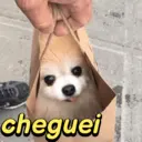 ملصق
