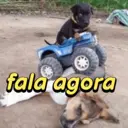 ملصق