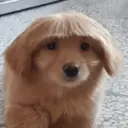 ملصق