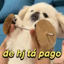 ملصق