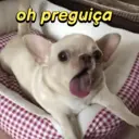 ملصق