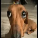 स्टिकर
