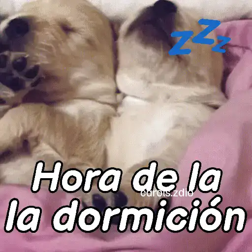 ملصق