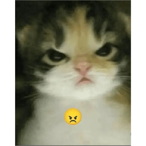 สติกเกอร์