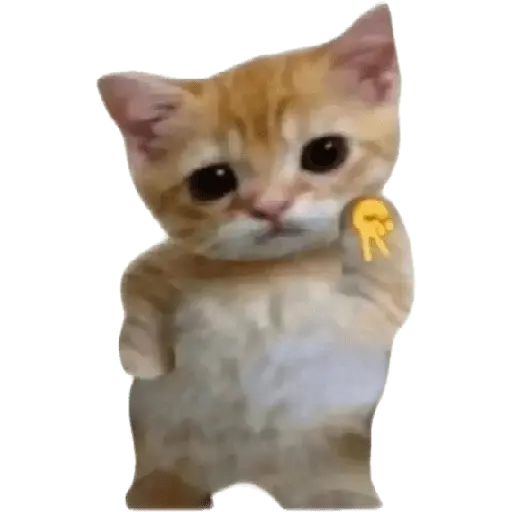 สติกเกอร์