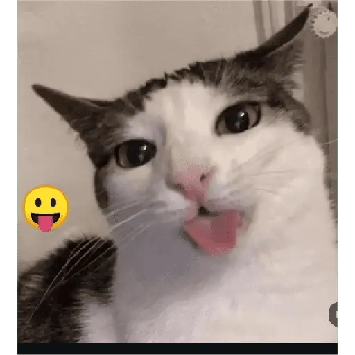สติกเกอร์