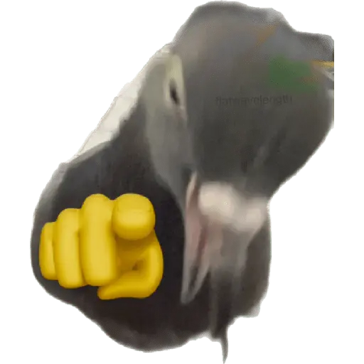 สติกเกอร์