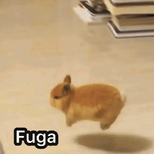 Çıkartma