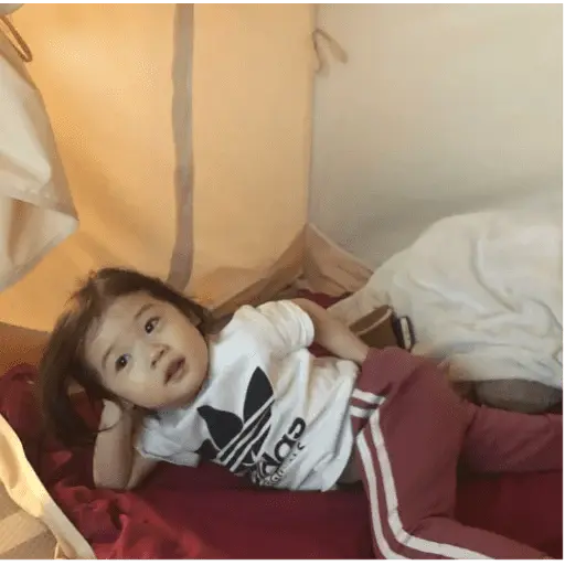 ملصق
