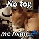 Límmiði