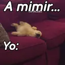 Límmiði