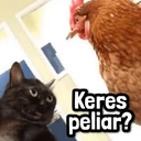 Pelekat