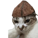 מדבקה