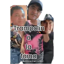 Nhãn dán