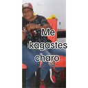 Nhãn dán
