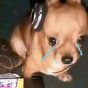 贴纸