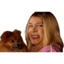 Límmiði