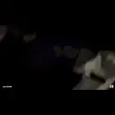 贴纸