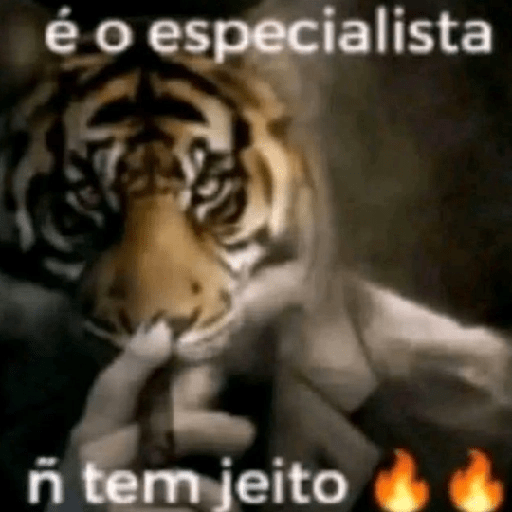 Samolepka