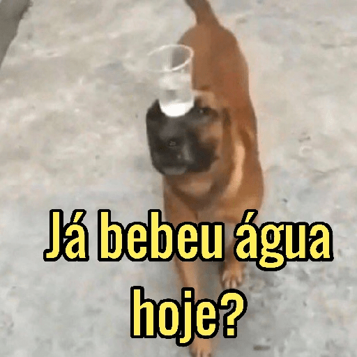 Стикер