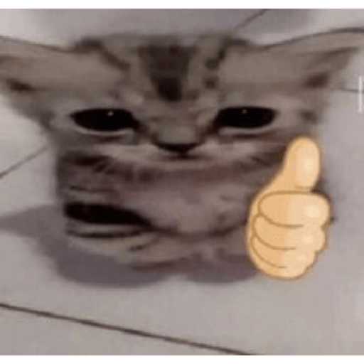 Стикер