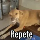 Stika
